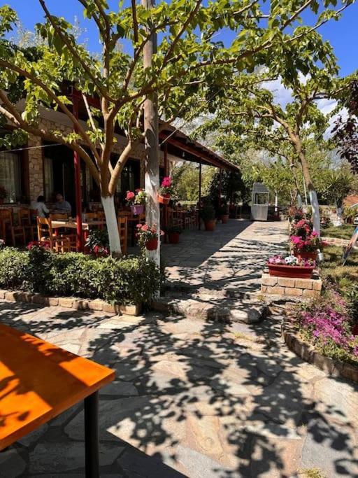 Kírinthos Family Woodland Oasis Vipgreece 아파트 외부 사진