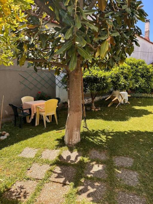 Kírinthos Family Woodland Oasis Vipgreece 아파트 외부 사진
